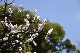image0194