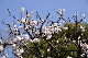 image0195