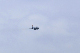 image0299