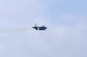 image0300