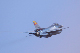 image0339