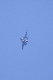 image0345