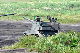 image0374