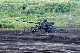 image0378