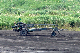 image0381