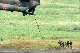 image0424