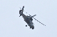 image0542