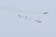 image0641