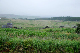 image0708