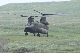 image0745