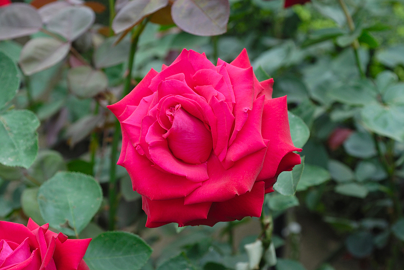 image0097