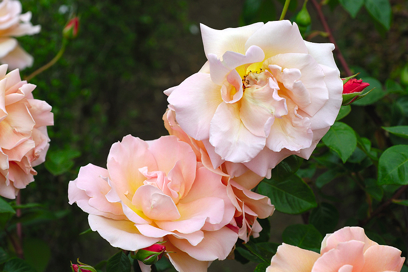 image0100