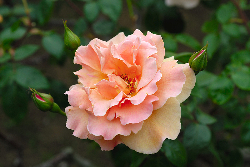 image0101