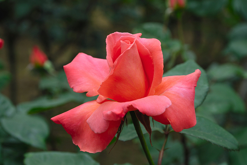 image0105