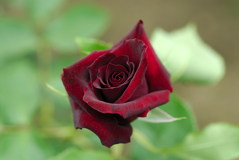 image0107