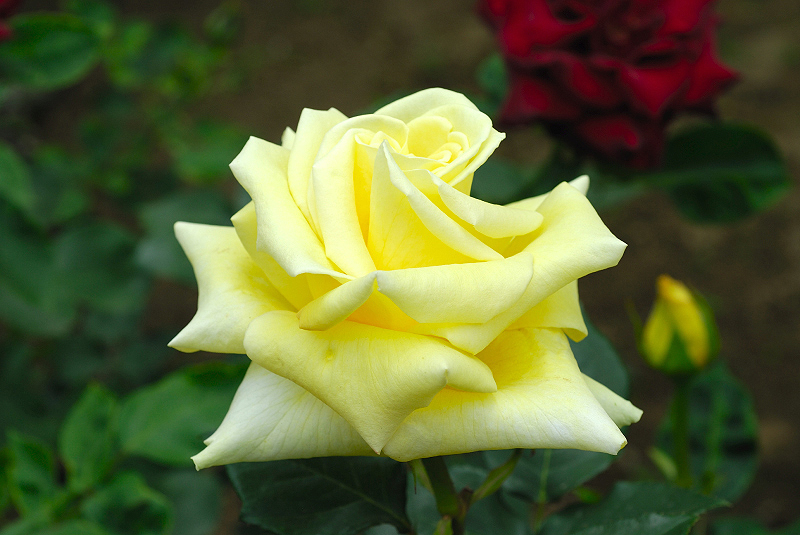 image0112