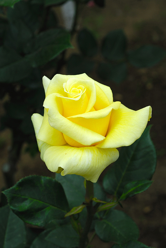 image0113
