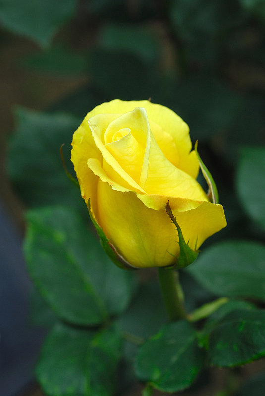 image0114