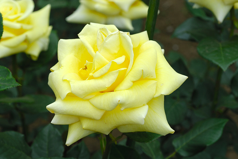 image0115