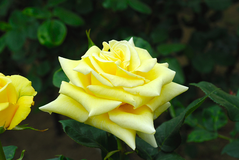 image0117