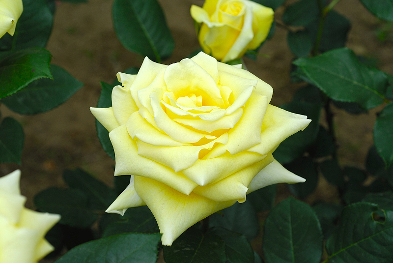 image0118
