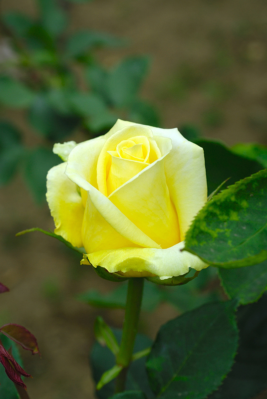 image0119