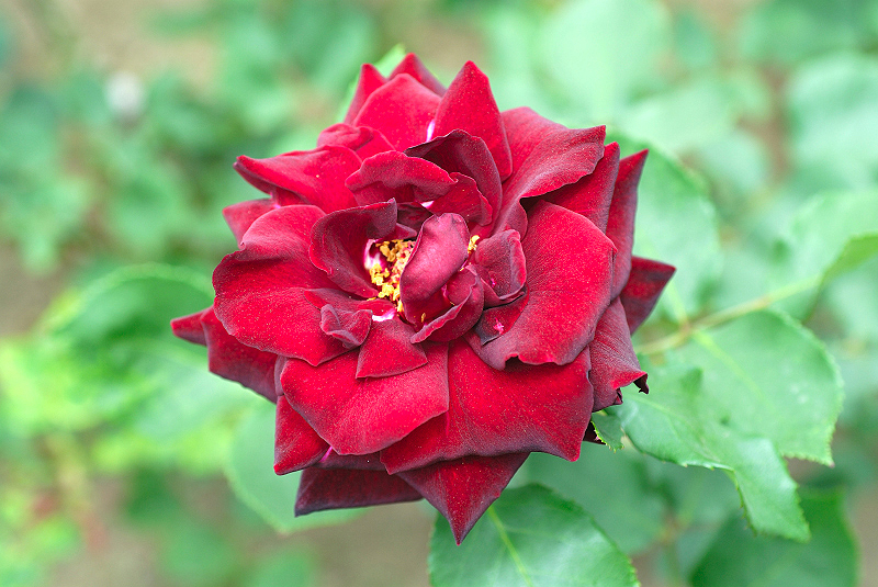 image0121