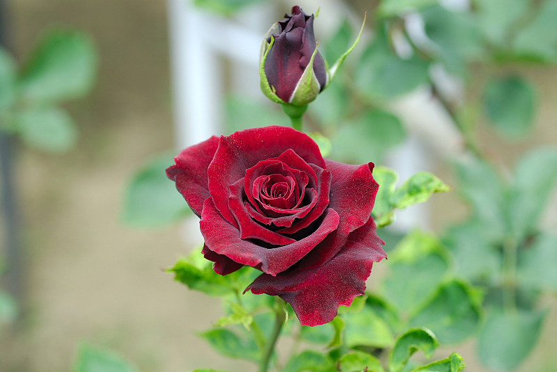 image0122