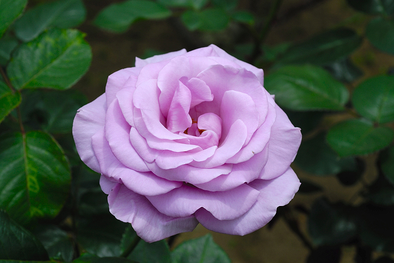 image0125