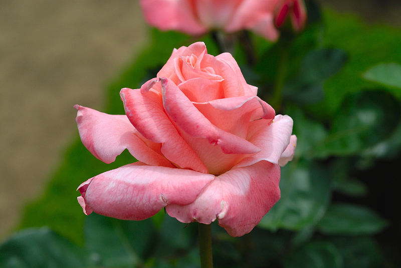 image0126