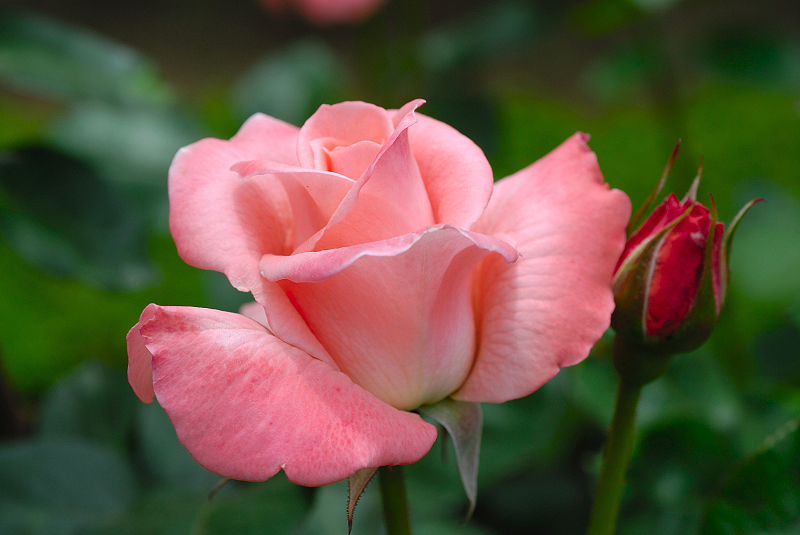 image0127