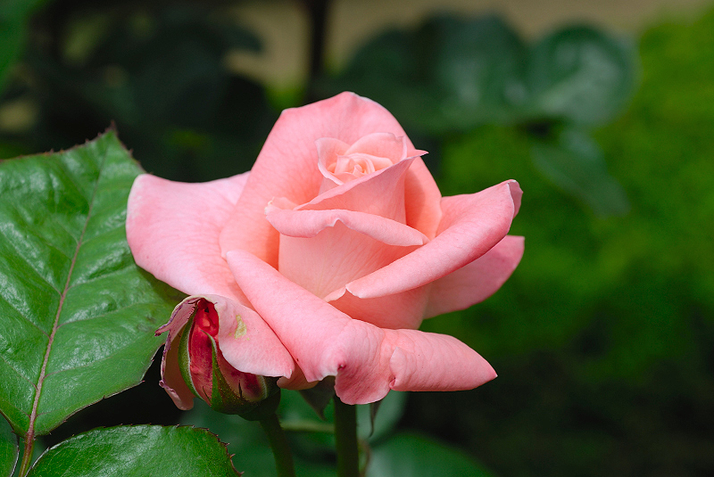 image0128
