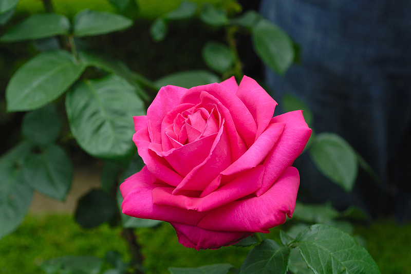 image0130