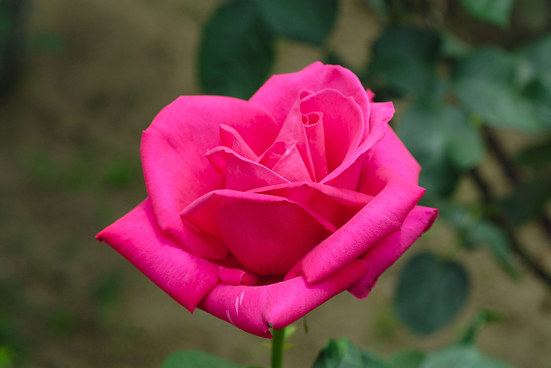 image0132