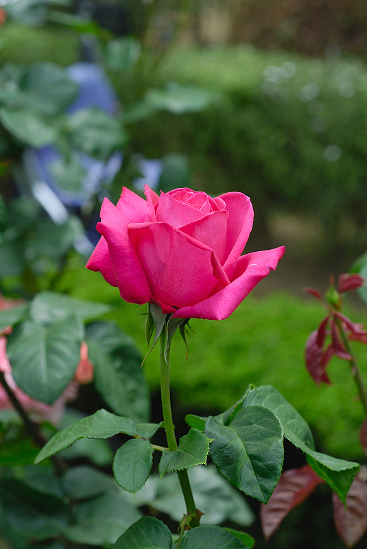 image0133
