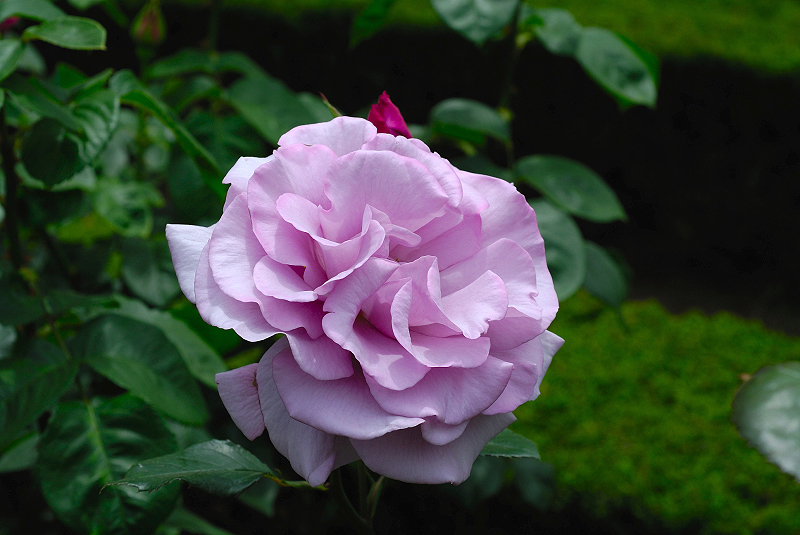 image0134