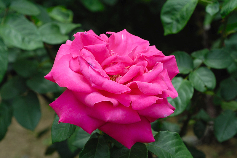 image0135