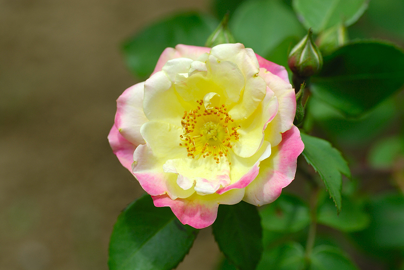 image0139
