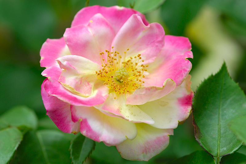 image0140