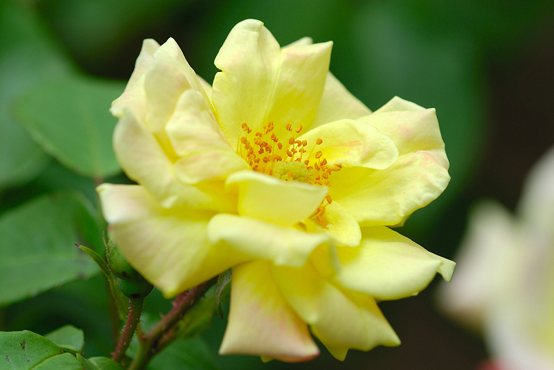 image0141