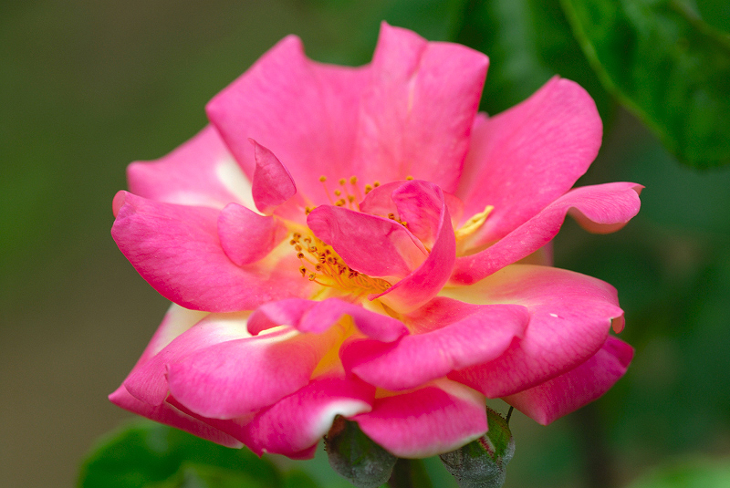 image0143