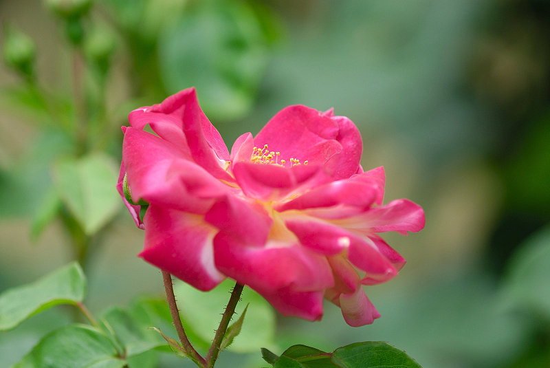 image0144