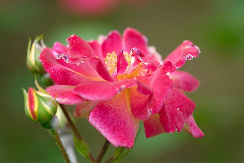 image0145