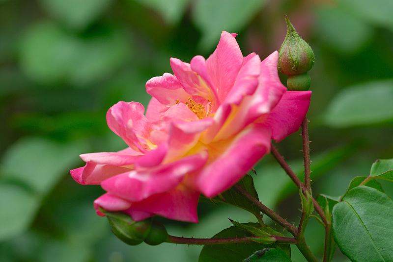 image0146