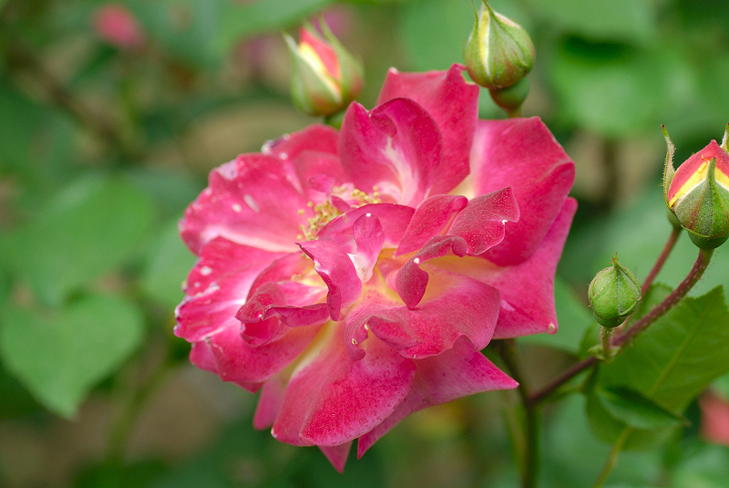 image0147