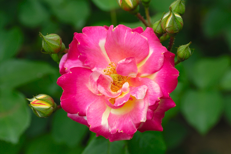 image0148