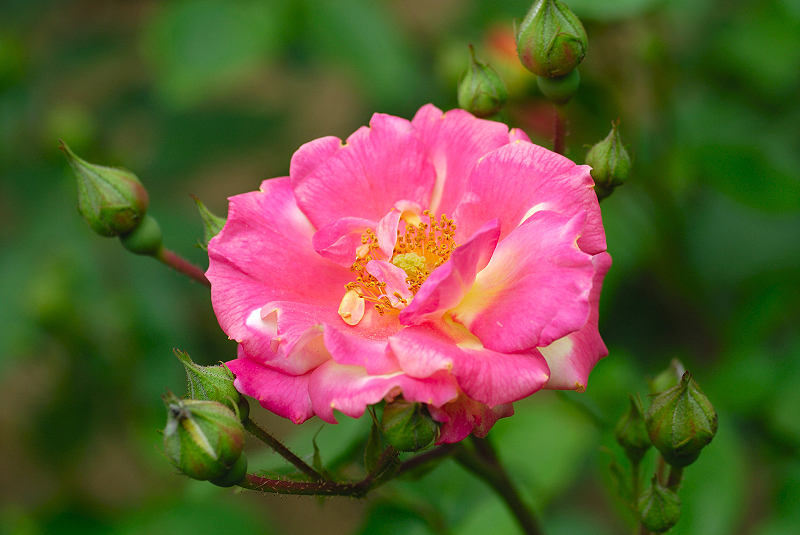 image0149