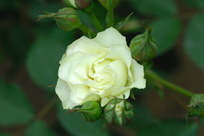 image0151
