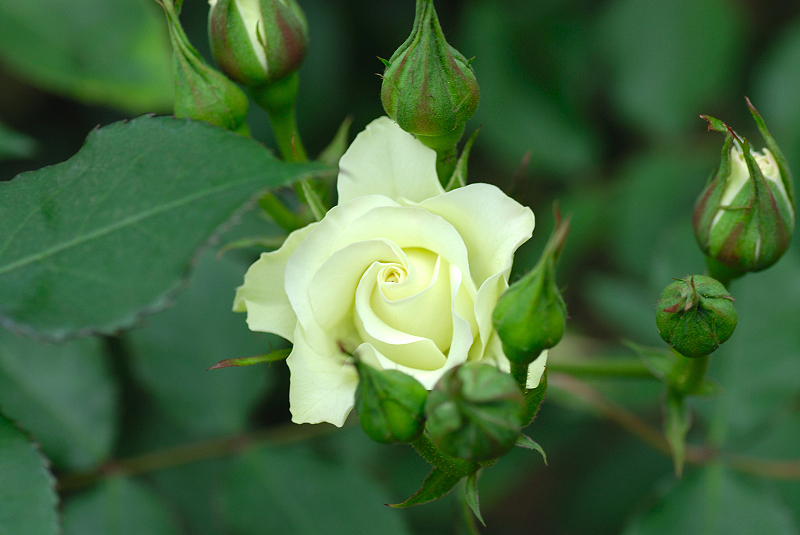 image0152