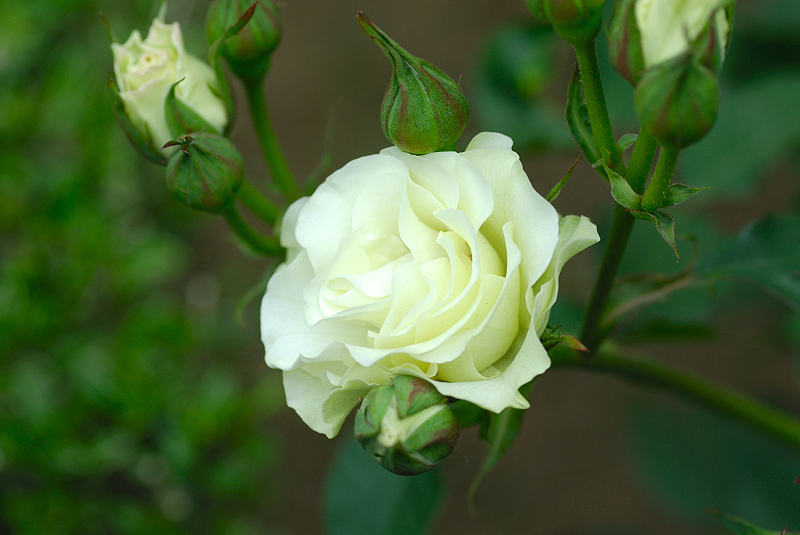 image0153